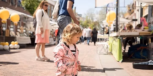 Zeldzaam Mooi event Laarstraat in Zutphen in Zutphen